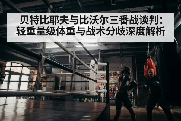 boxer training